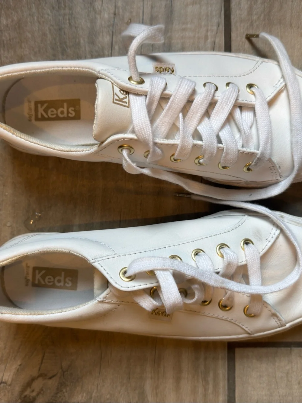 Keds Women's Low Top Canvas Sneaker in White with Gold Eyelets